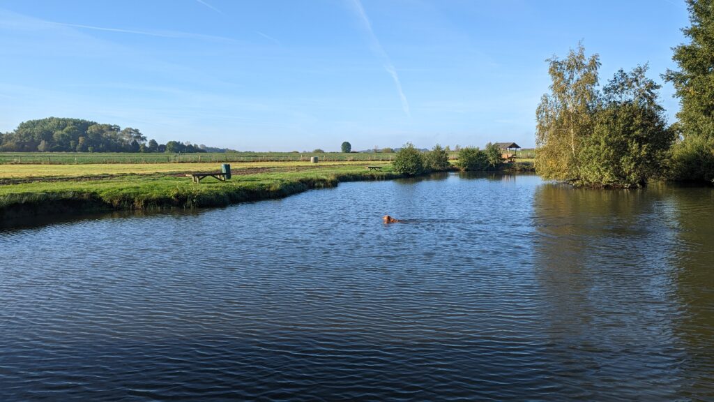 PXL_20221009_073654225