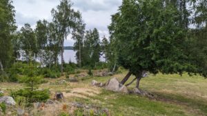 Trainingsferien Suchenpfiff Schweden (63)
