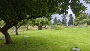 Trainingsferien Suchenpfiff Schweden (66)