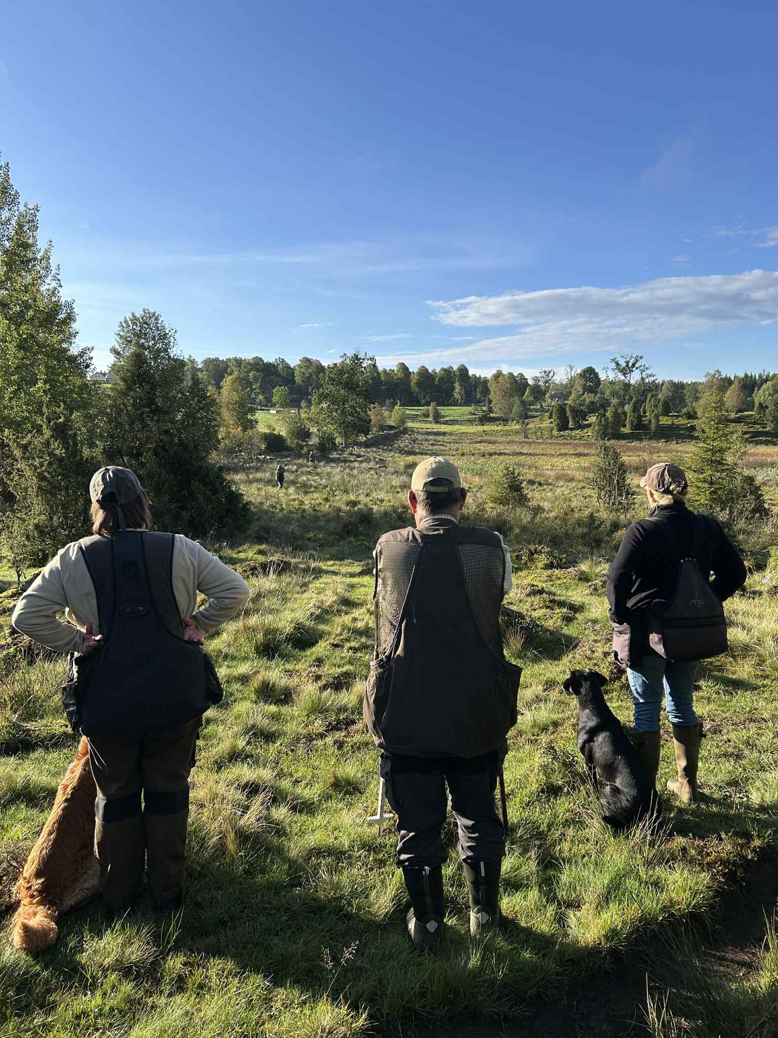 Schweden 2026 (1)