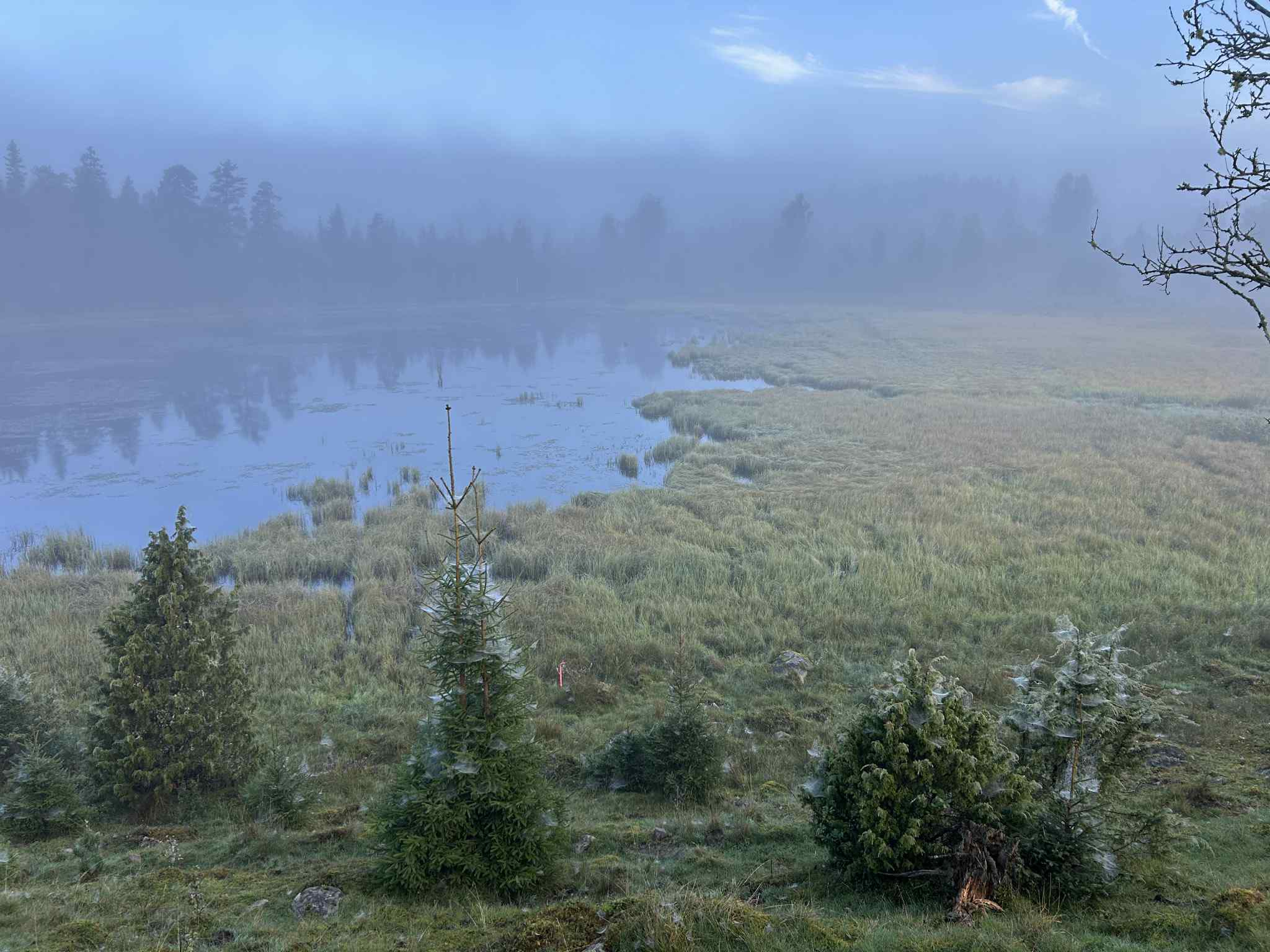 Schweden 2026 (6)