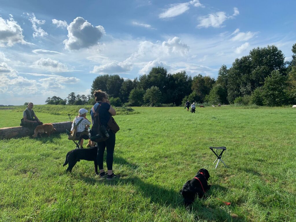 WhatsApp Image 2025 08 30 At 10.54.50